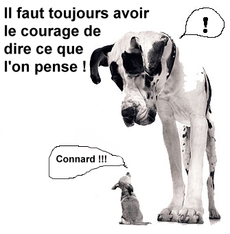 c pa bien de dire dé gromo
